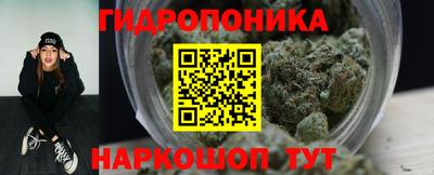 крисы Будённовск