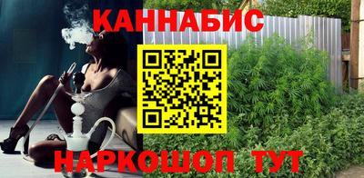 крисы Будённовск