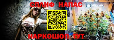 крисы Будённовск