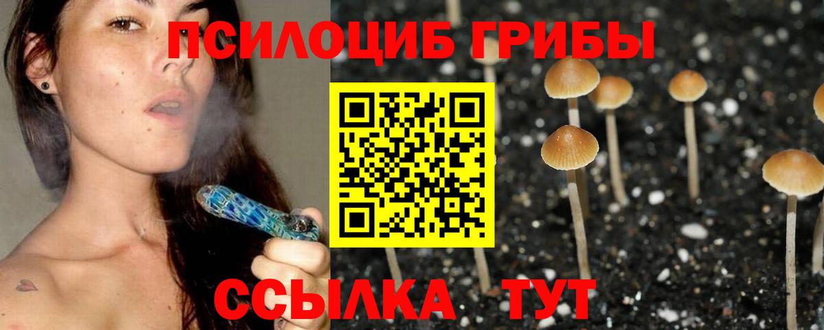 Псилоцибиновые грибы прущие грибы  Вход с VPN  Малгобек 